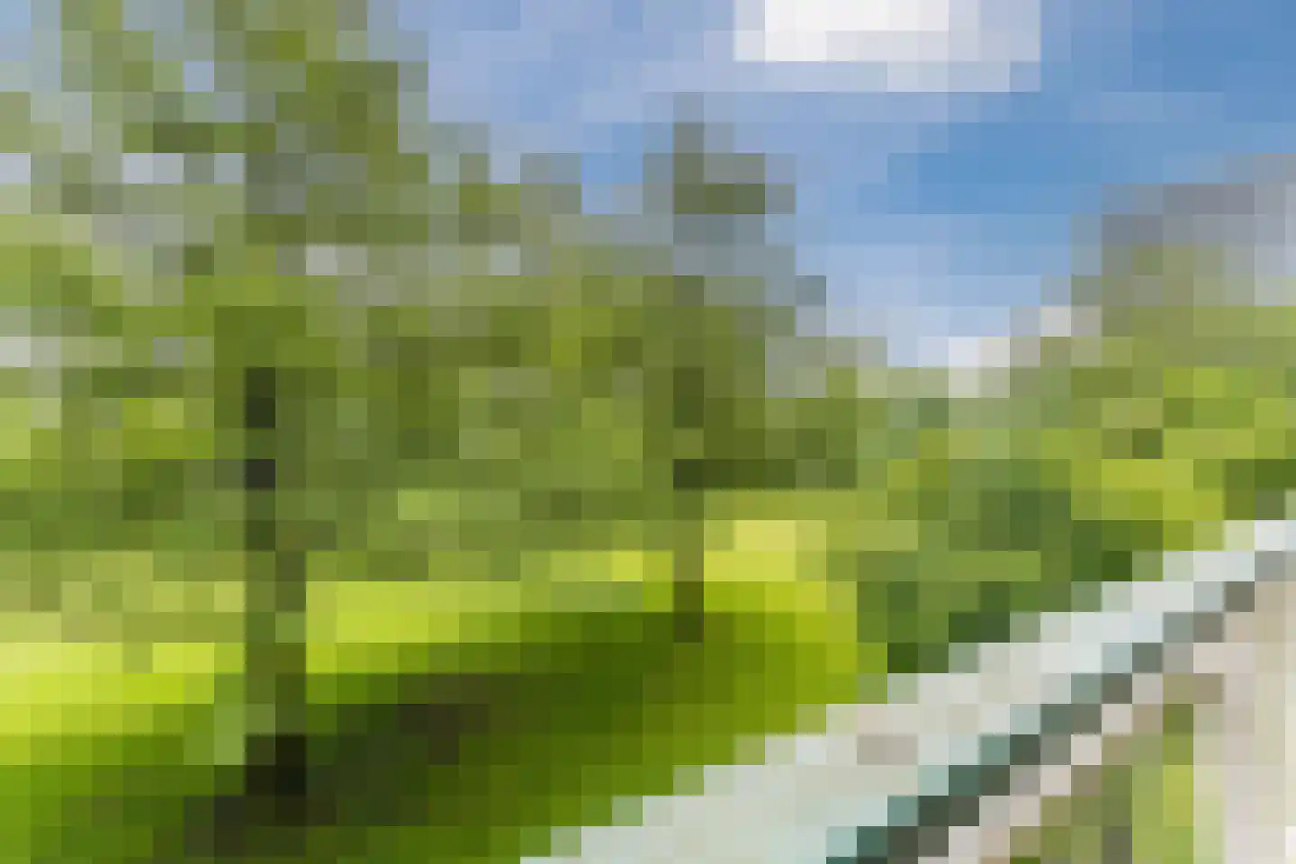 Tiengemeten 79 Amstelveen thumbnail 29