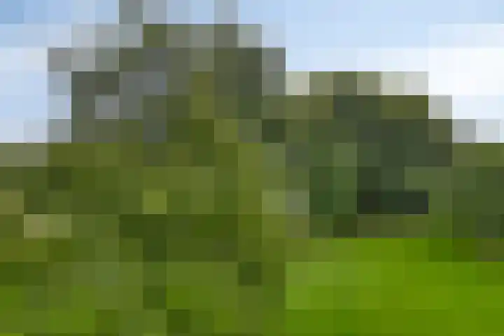 Tiengemeten 97 Amstelveen thumbnail 19