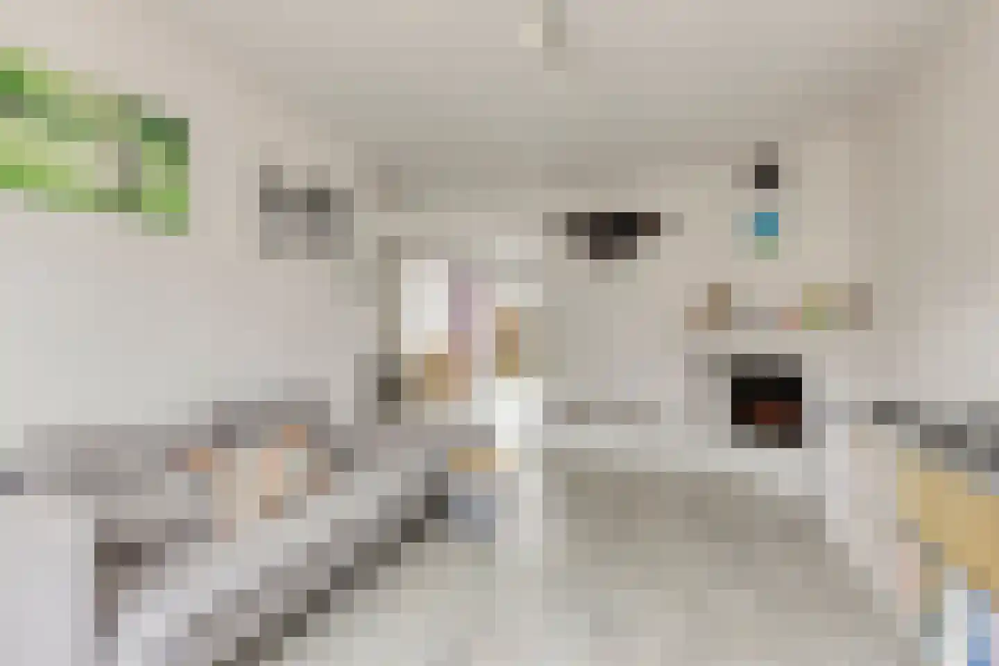 Tiengemetenstraat 2 Eindhoven thumbnail 12