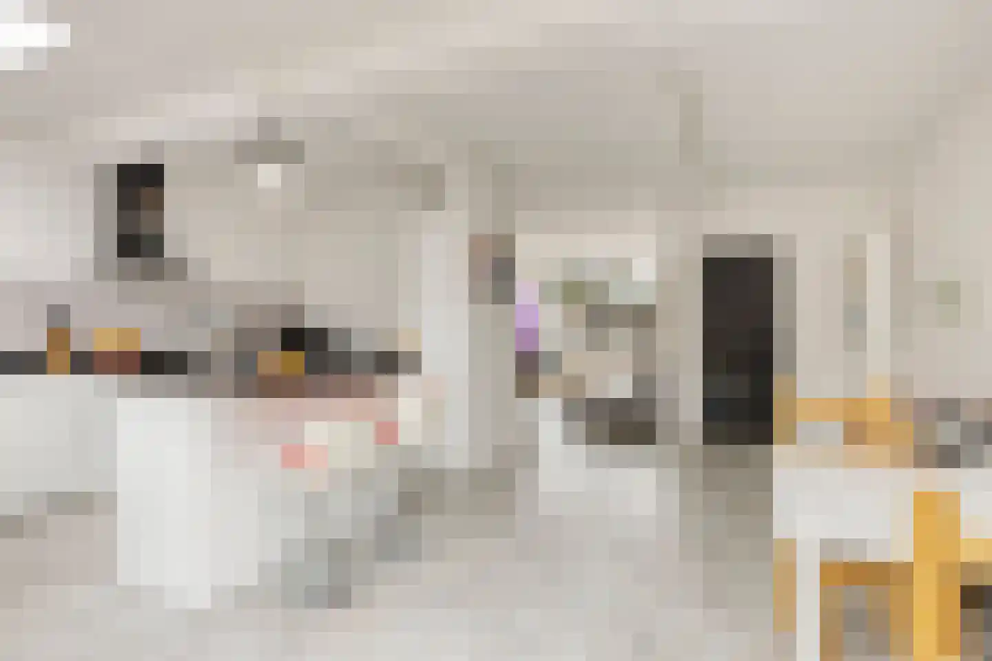 Tiengemetenstraat 2 Eindhoven thumbnail 17