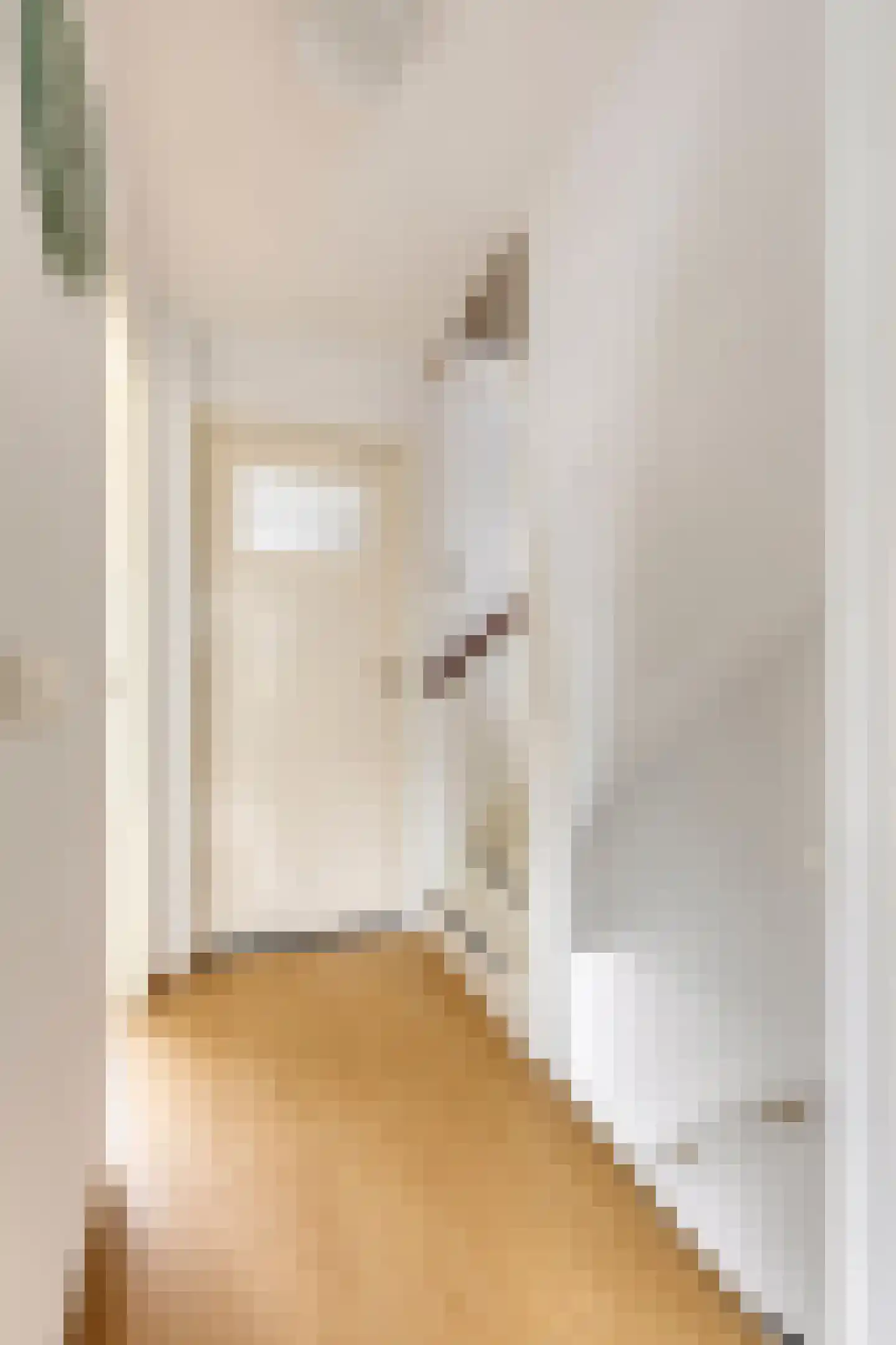 Tiengemetenstraat 2 Eindhoven thumbnail 22