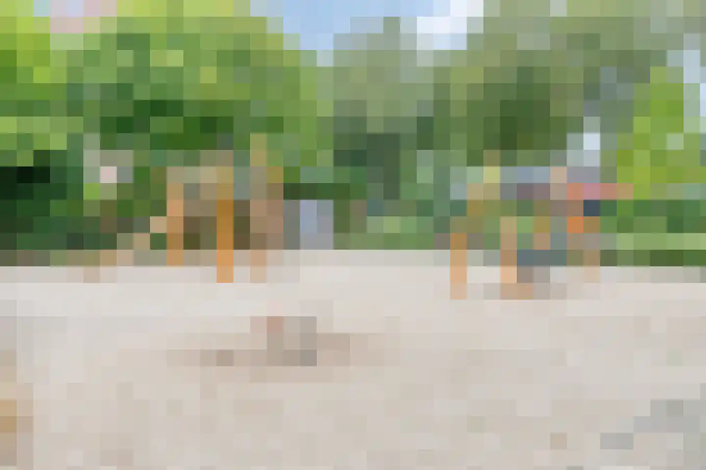 Tiengemetenstraat 2 Eindhoven thumbnail 43