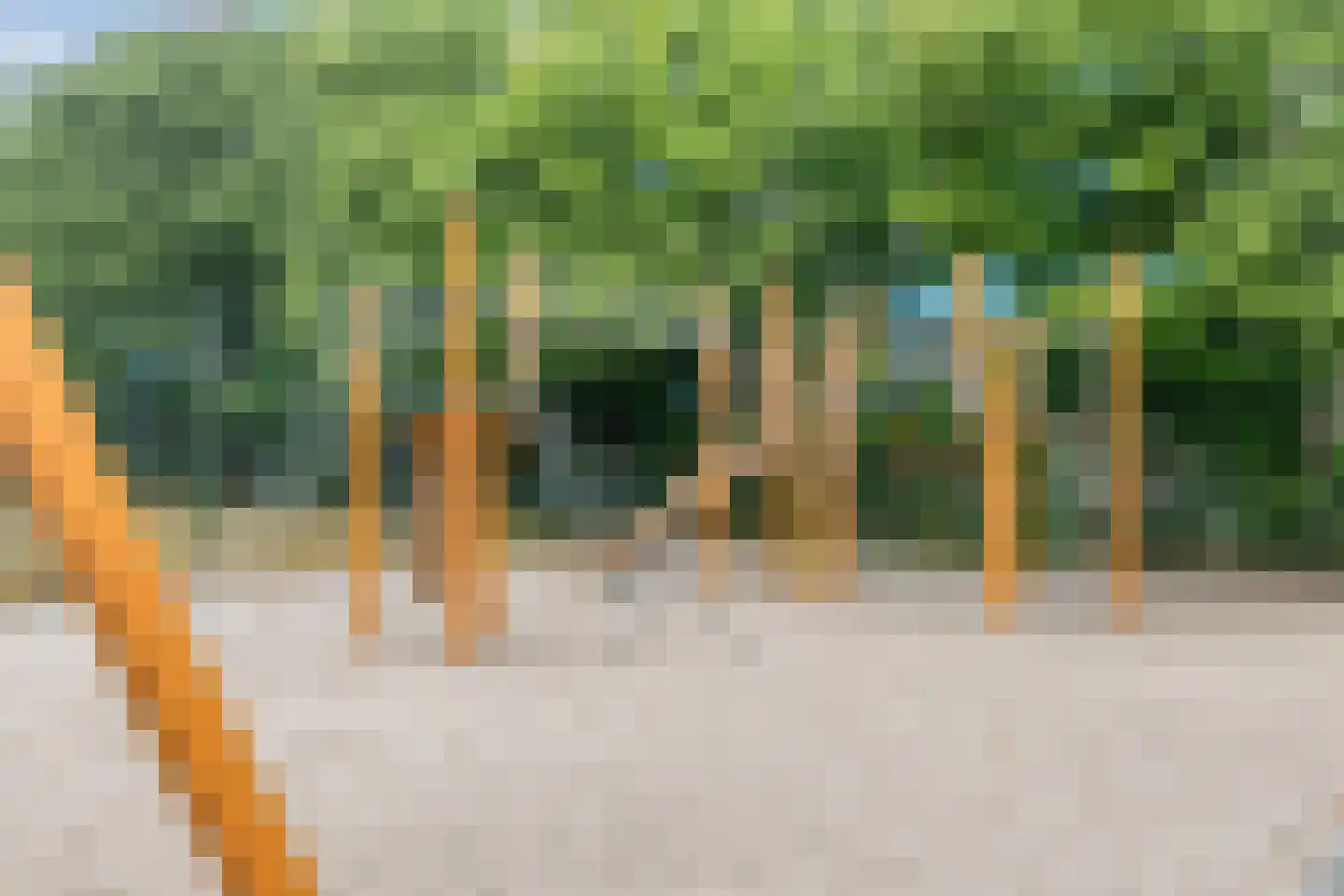 Tiengemetenstraat 2 Eindhoven thumbnail 44