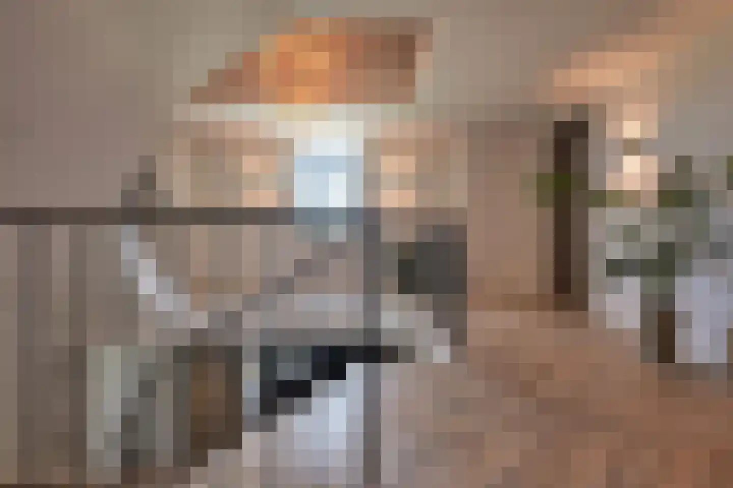 Tienhonderdsedijk 4 Cadzand thumbnail 20