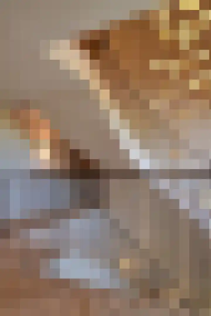 Tienhonderdsedijk 4 Cadzand thumbnail 30