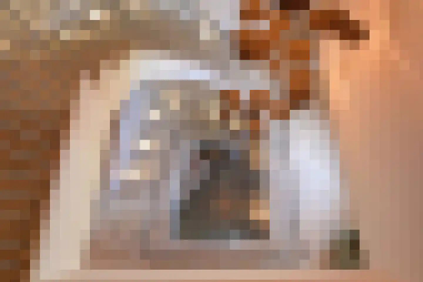 Tienhonderdsedijk 4 Cadzand thumbnail 33