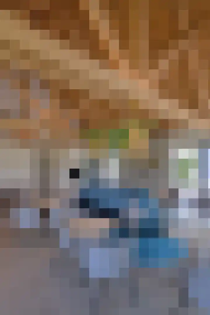 Tienhonderdsedijk 4 Cadzand thumbnail 34
