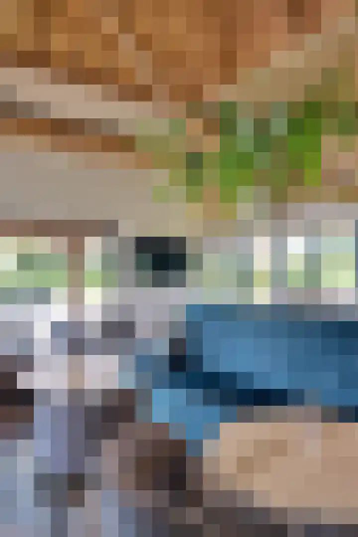 Tienhonderdsedijk 4 Cadzand thumbnail 34