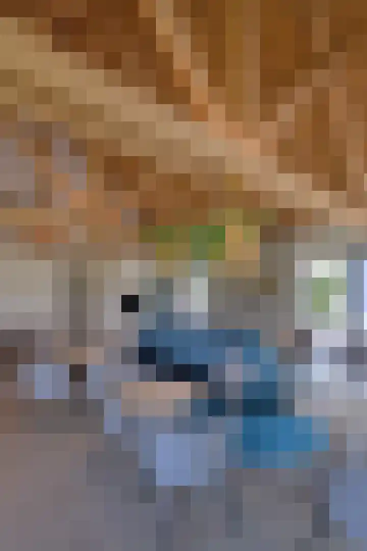 Tienhonderdsedijk 4 Cadzand thumbnail 35