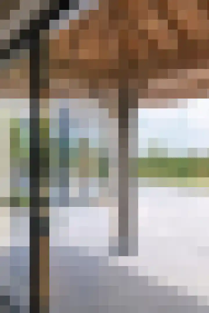 Tienhonderdsedijk 4 Cadzand thumbnail 36