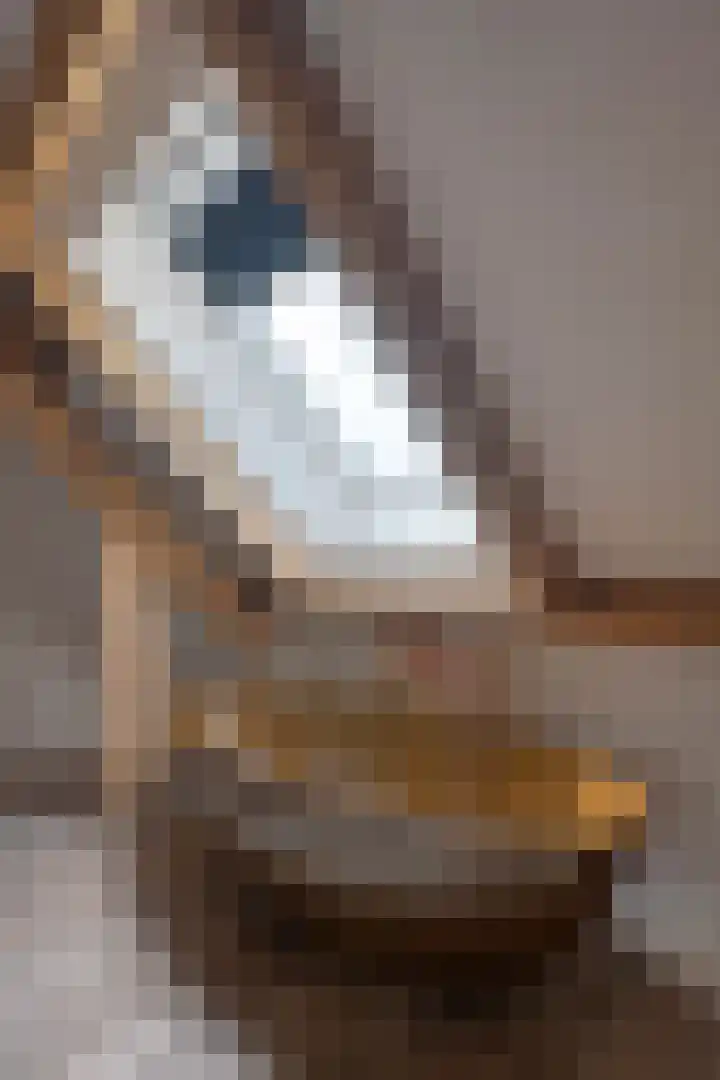 Tienhonderdsedijk 4 Cadzand thumbnail 38