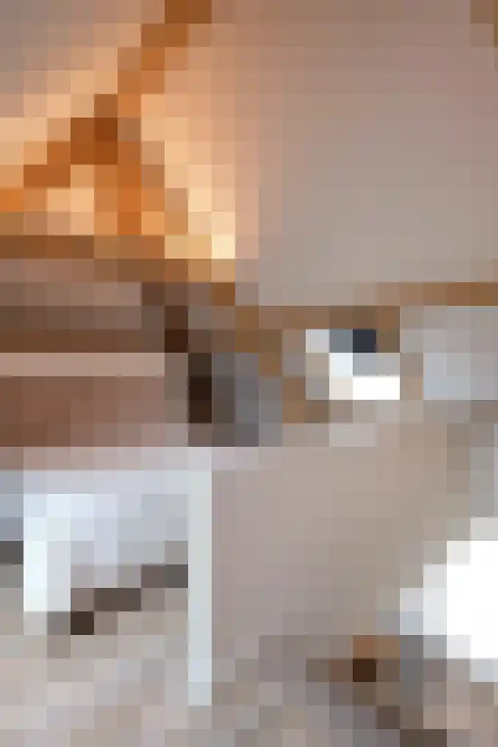 Tienhonderdsedijk 4 Cadzand thumbnail 39