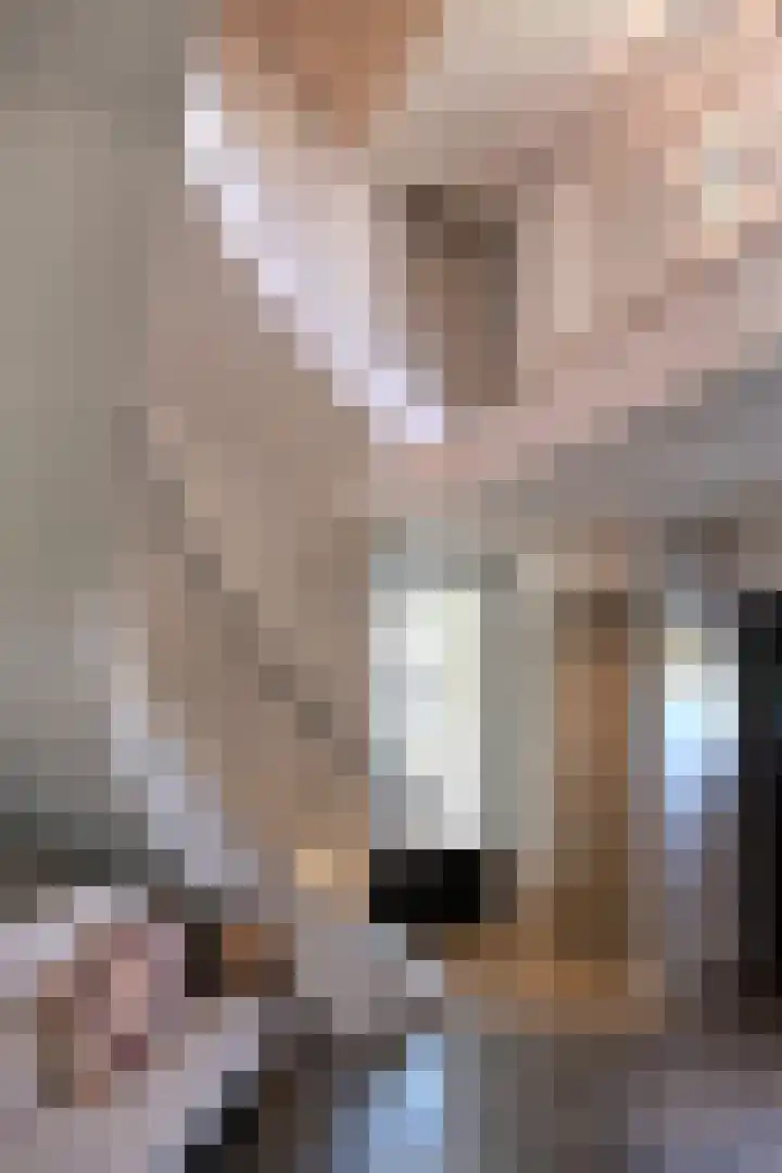 Tienhonderdsedijk 4 Cadzand thumbnail 5