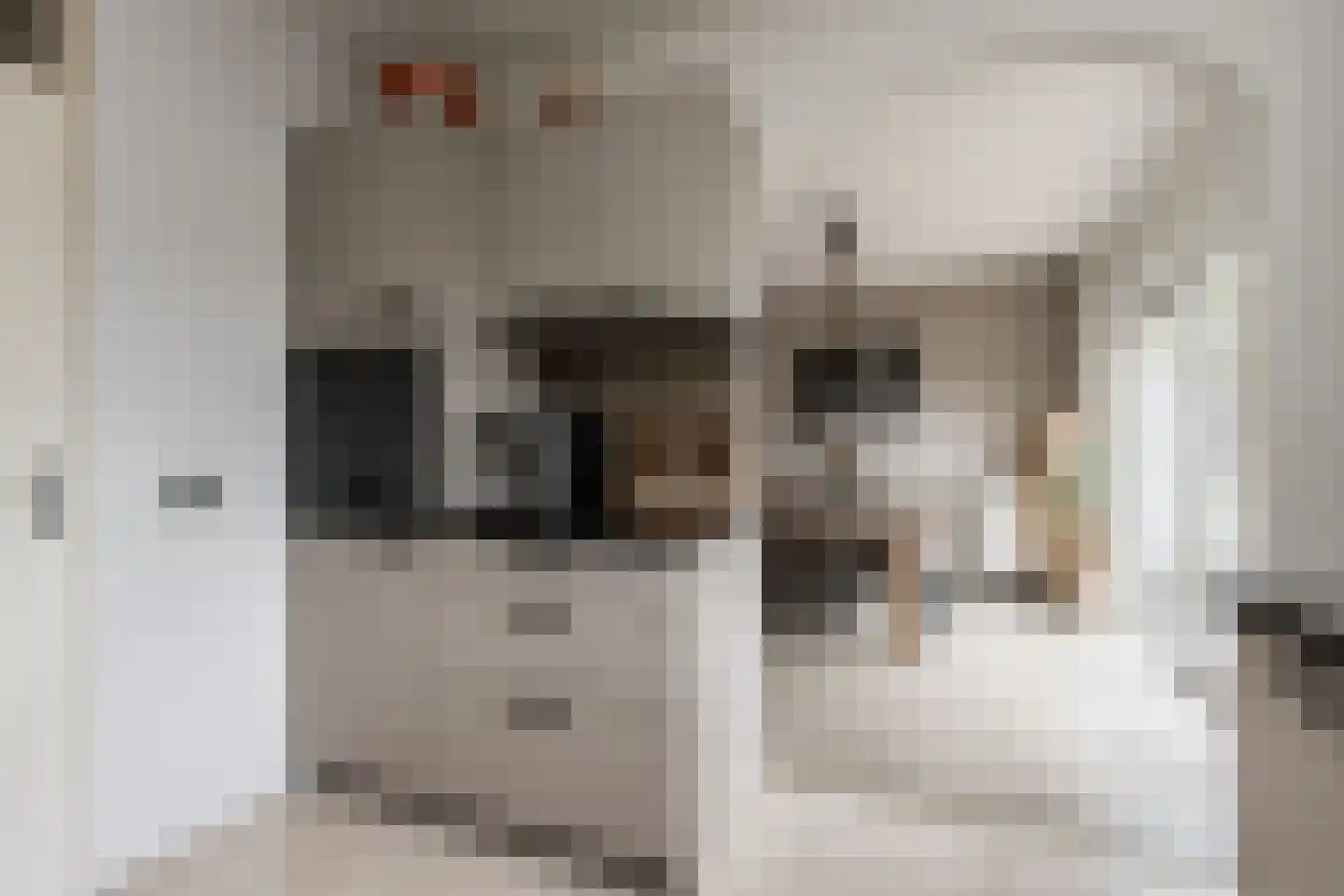 Tienhont 10 Zaltbommel thumbnail 11