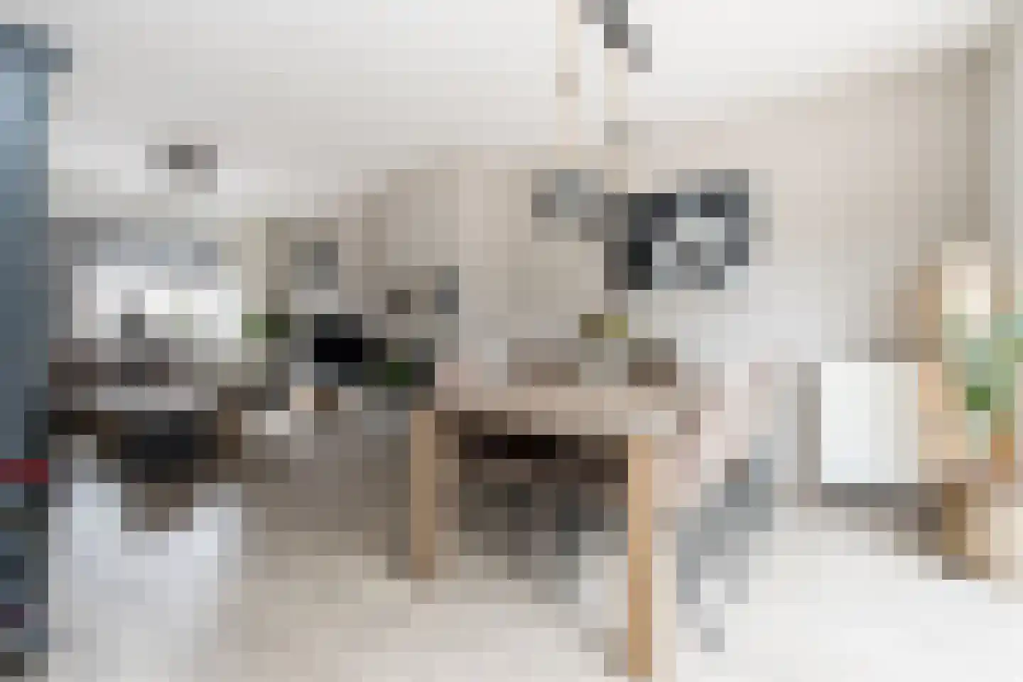 Tienhont 10 Zaltbommel thumbnail 12