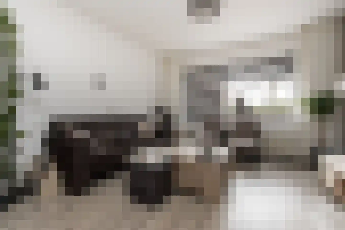 Tienhont 10 Zaltbommel thumbnail 13