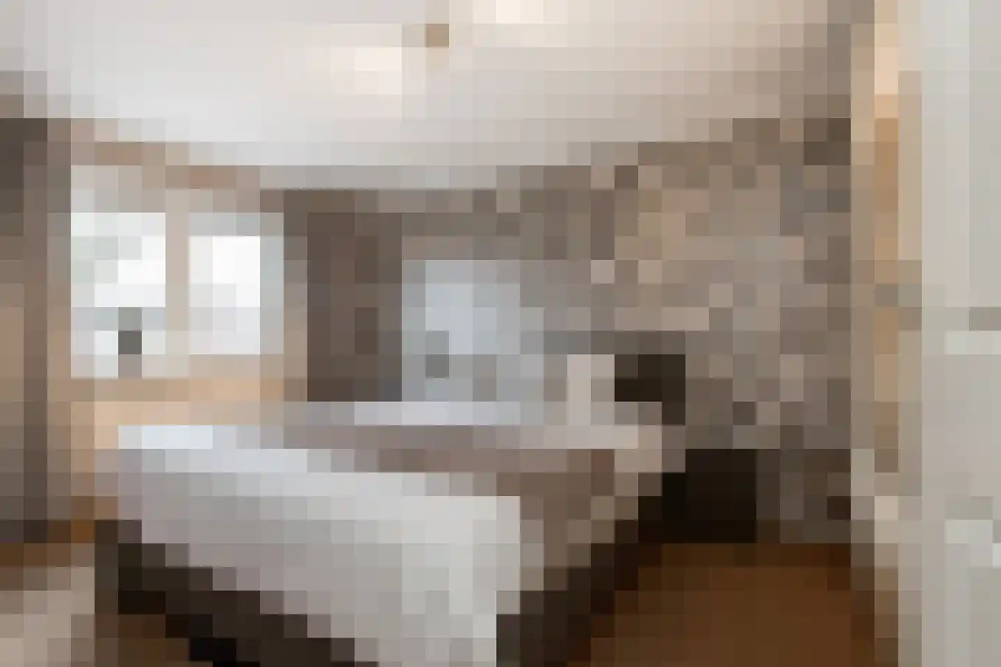 Tienhont 10 Zaltbommel thumbnail 24