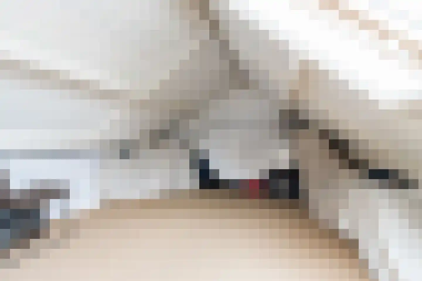 Tienhont 10 Zaltbommel thumbnail 38