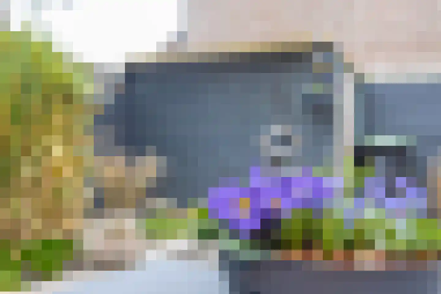 Tienhont 10 Zaltbommel thumbnail 47
