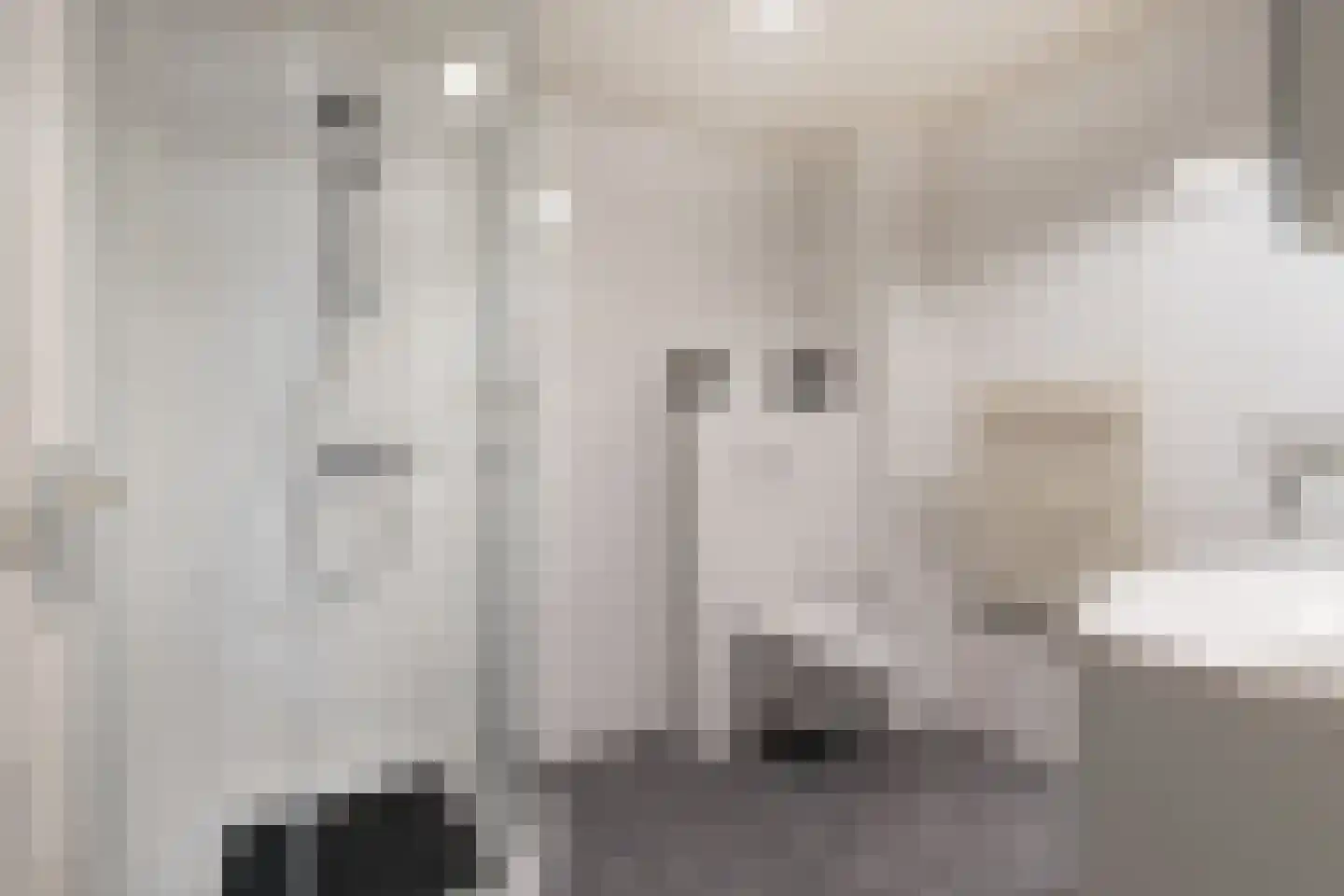 Tienhont 10 Zaltbommel thumbnail 5