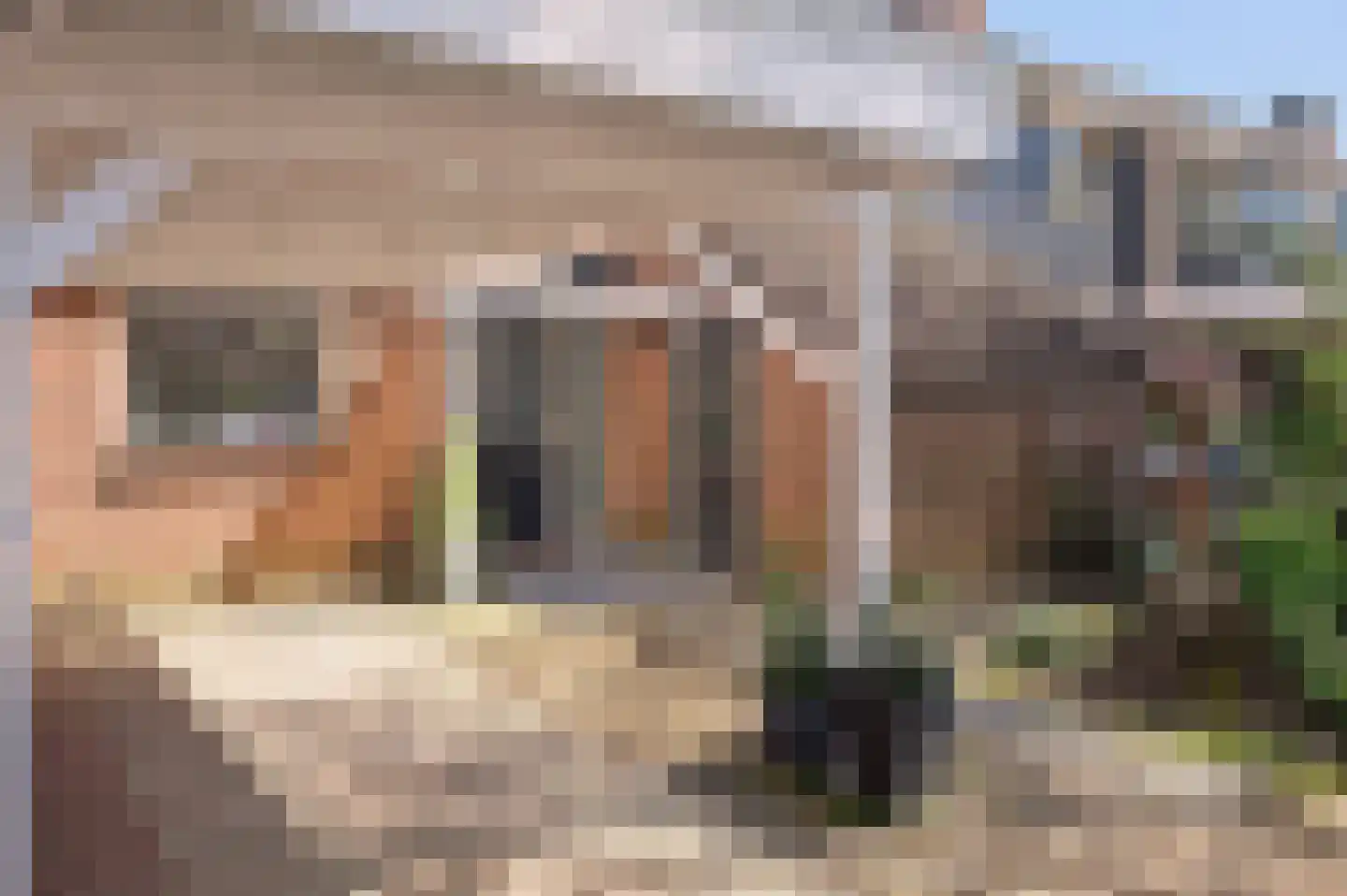 Tienhont 14 Zaltbommel thumbnail 10