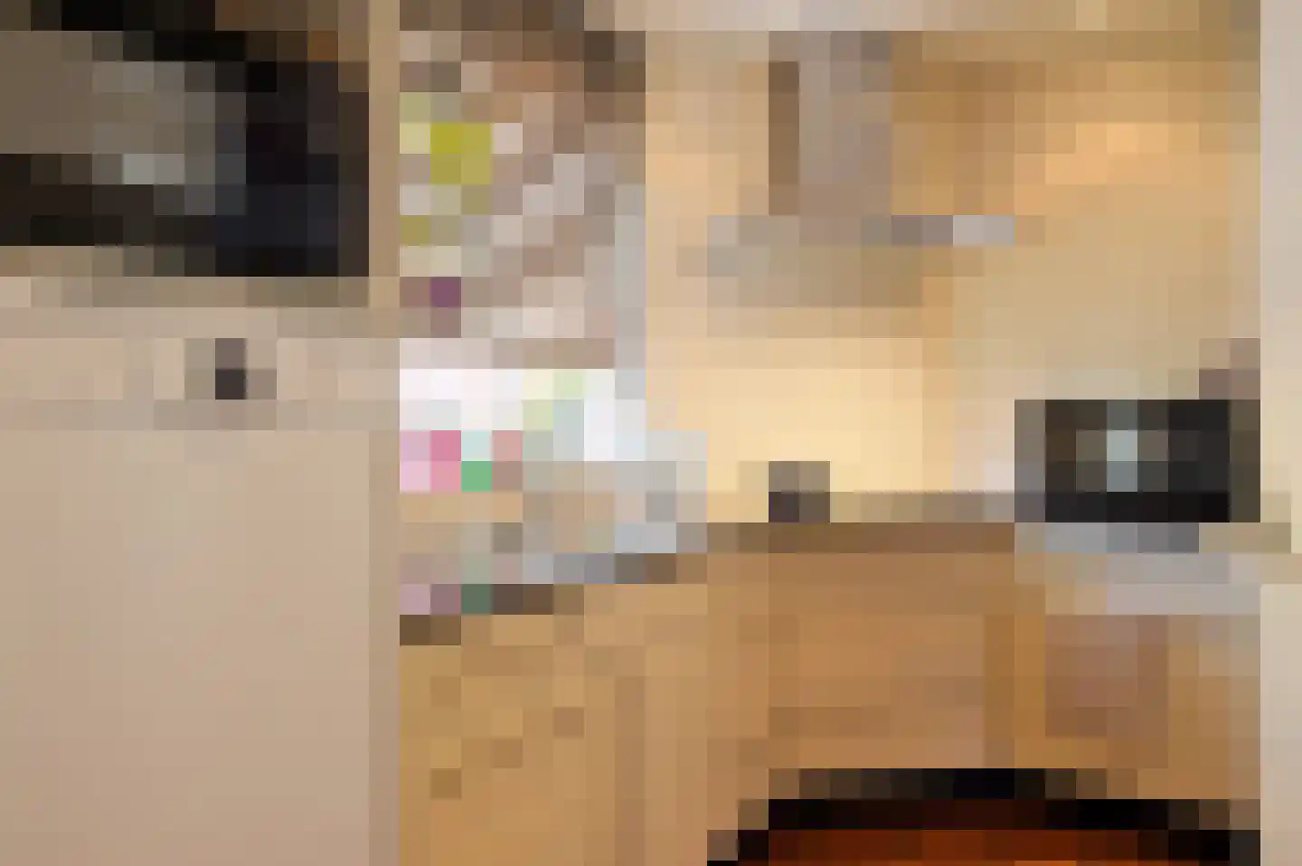 Tienhont 14 Zaltbommel thumbnail 26