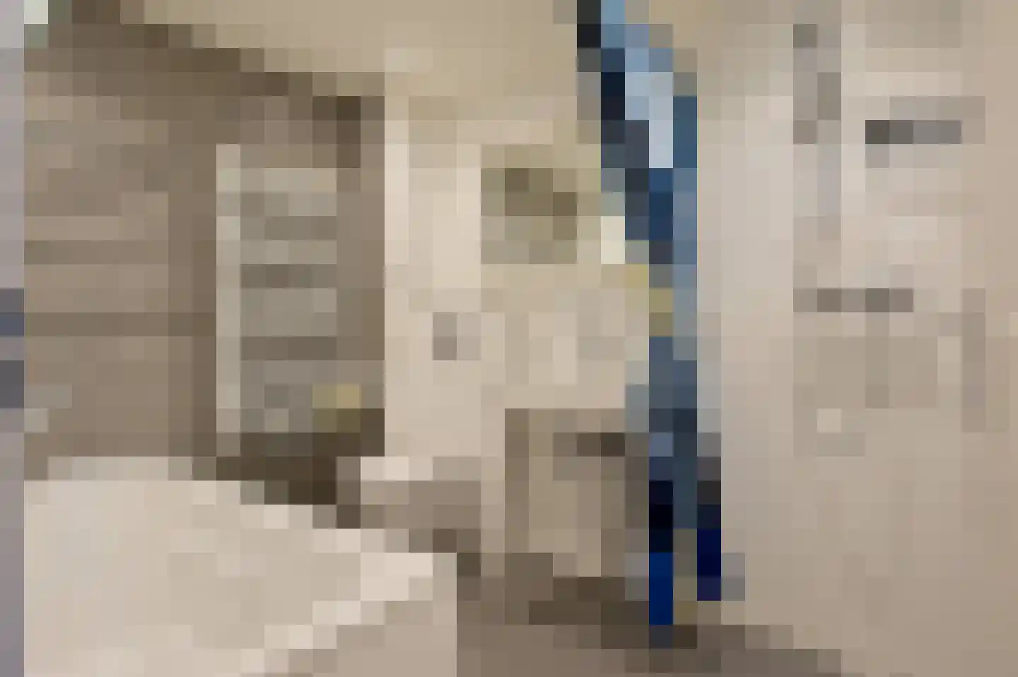 Tienhont 14 Zaltbommel thumbnail 37