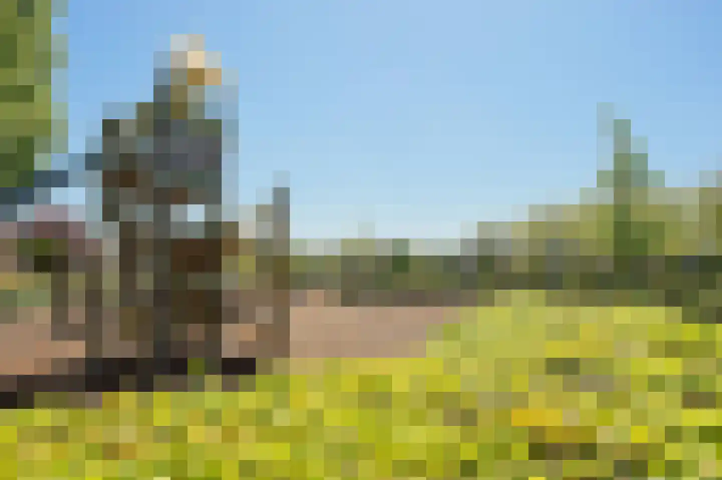 Tienhont 14 Zaltbommel thumbnail 42
