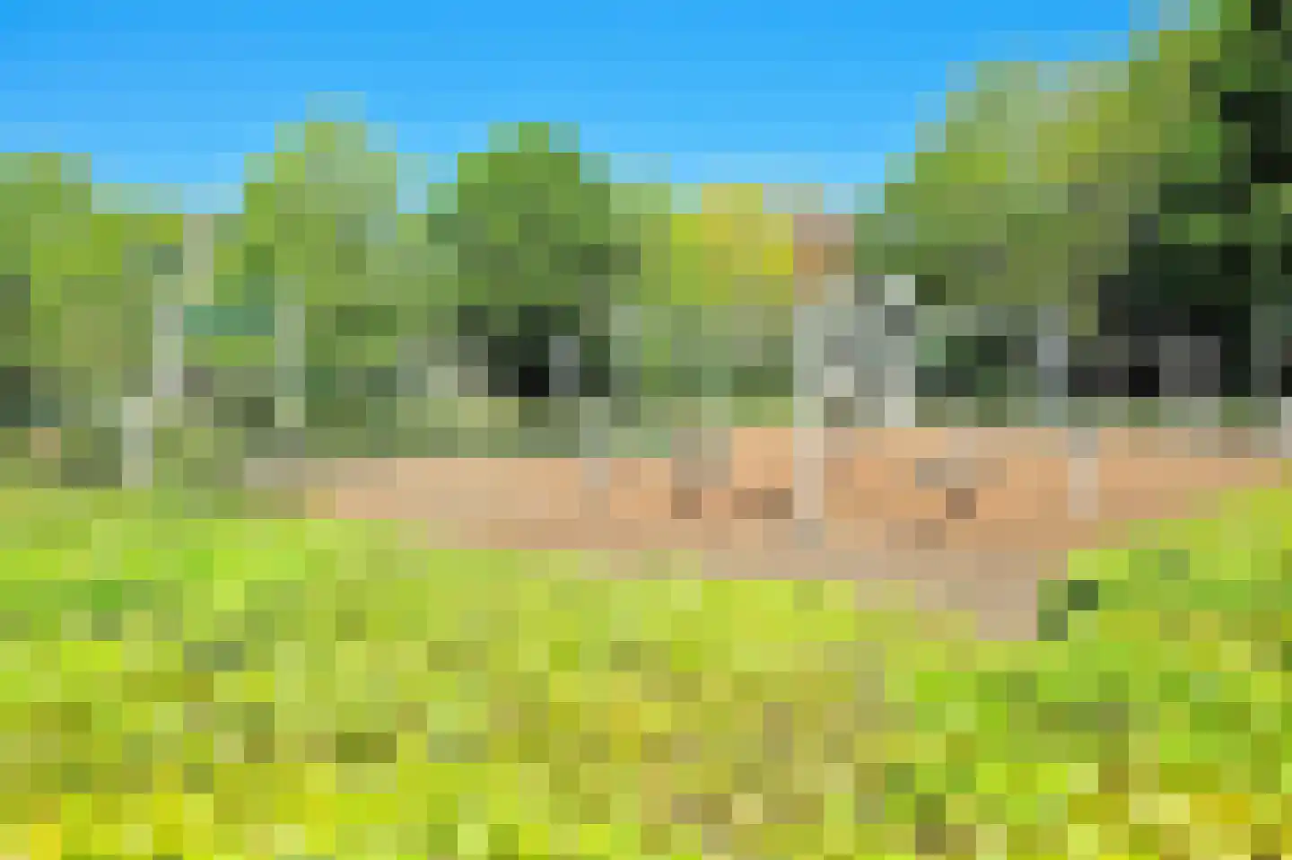Tienhont 14 Zaltbommel thumbnail 43