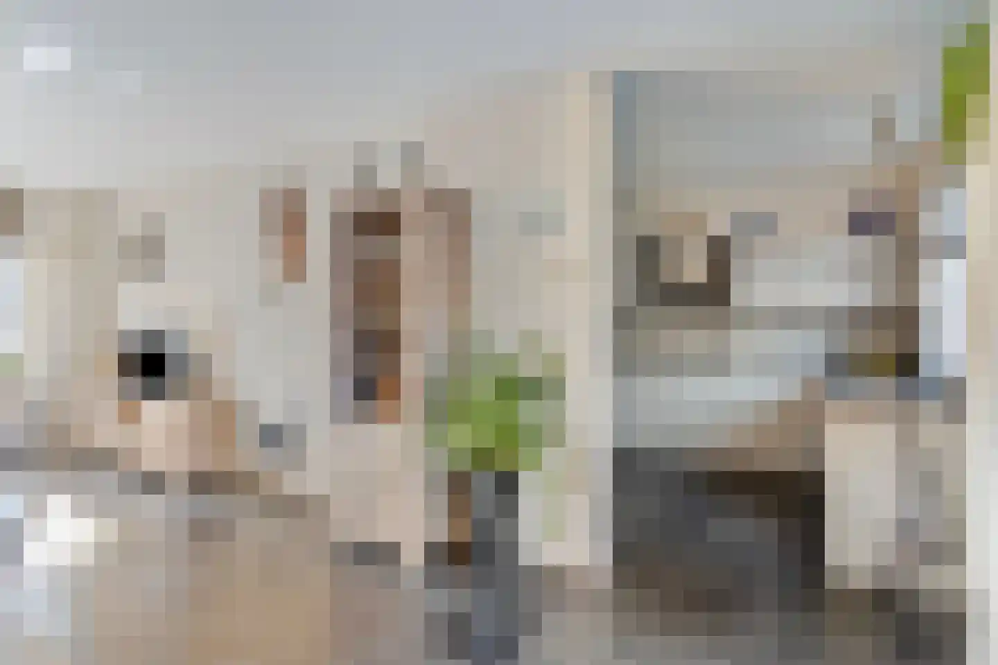 Tienhont 30 Zaltbommel thumbnail 12