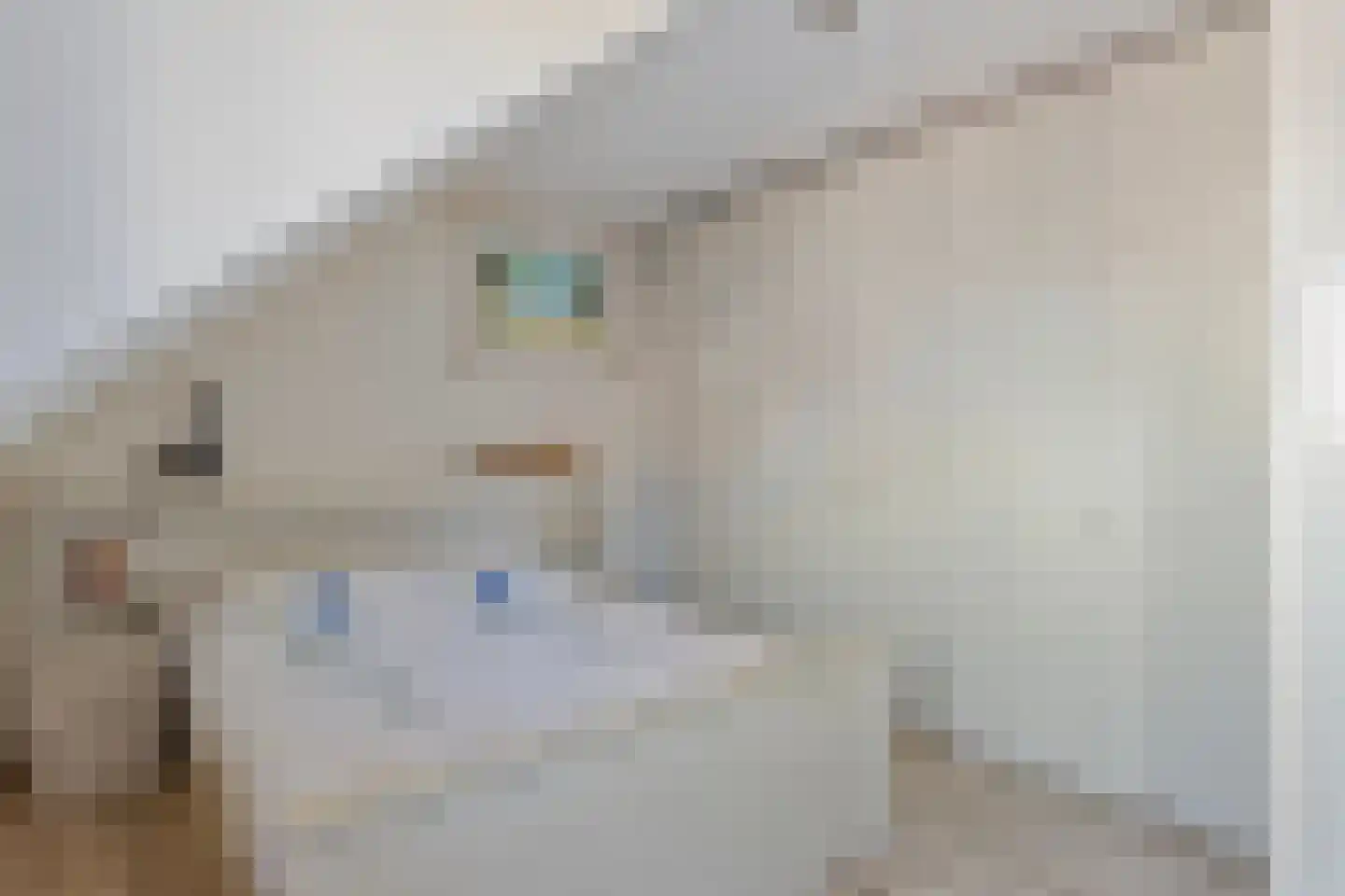 Tienhont 30 Zaltbommel thumbnail 24
