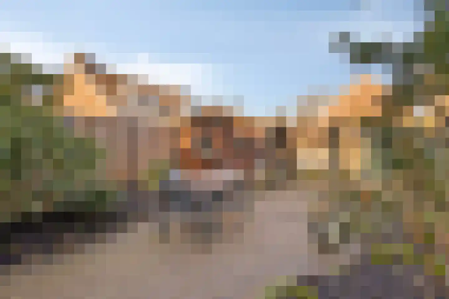 Tienhont 30 Zaltbommel thumbnail 33