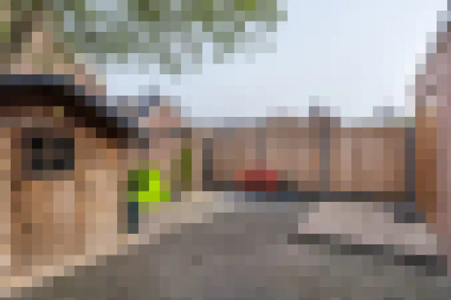 Tienhont 32 Zaltbommel thumbnail 28