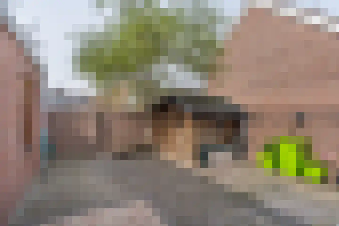 Tienhont 32 Zaltbommel thumbnail 29
