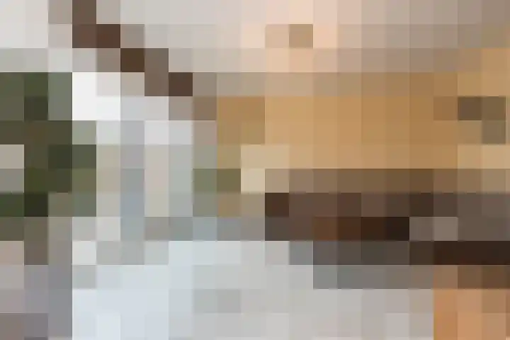 Tienhont 34 Zaltbommel thumbnail 14