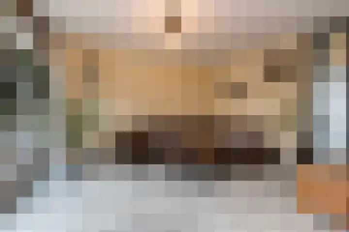 Tienhont 34 Zaltbommel thumbnail 15