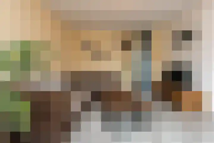 Tienhont 34 Zaltbommel thumbnail 16