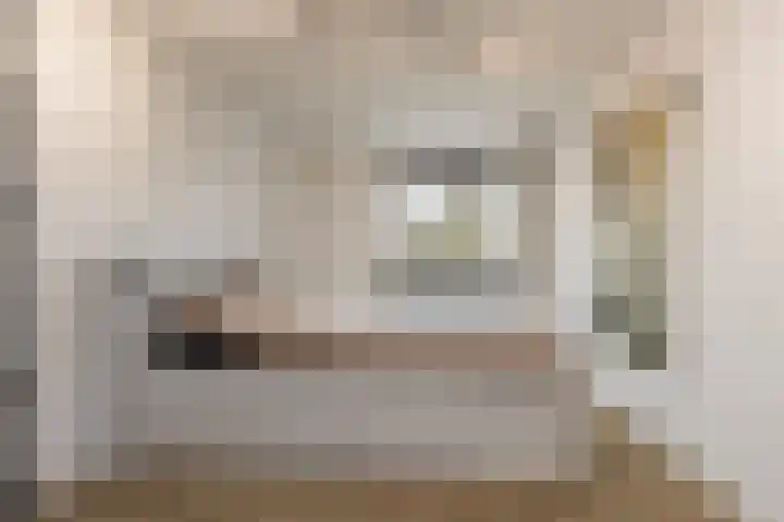 Tienhont 34 Zaltbommel thumbnail 32