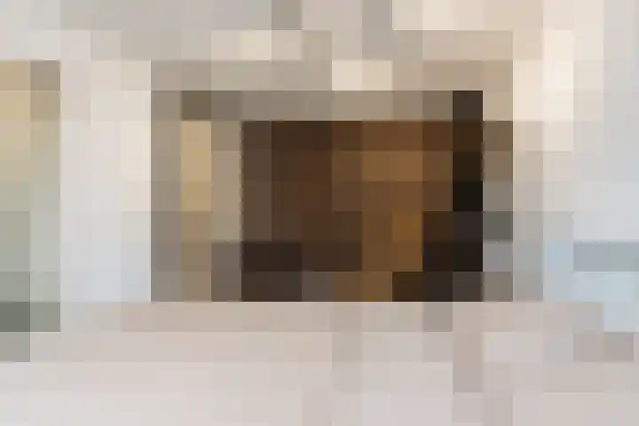 Tienhont 34 Zaltbommel thumbnail 33