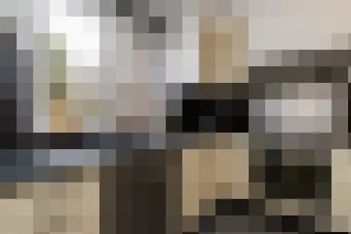 Tienhont 34 Zaltbommel thumbnail 4