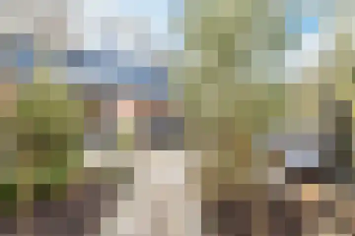 Tienhont 34 Zaltbommel thumbnail 52