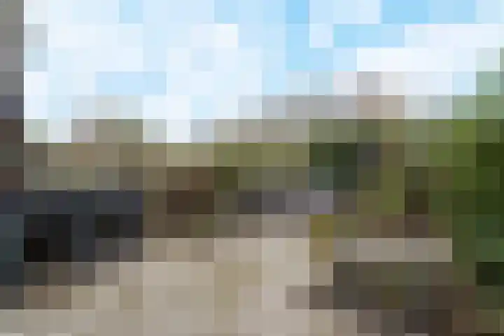 Tienhont 34 Zaltbommel thumbnail 58
