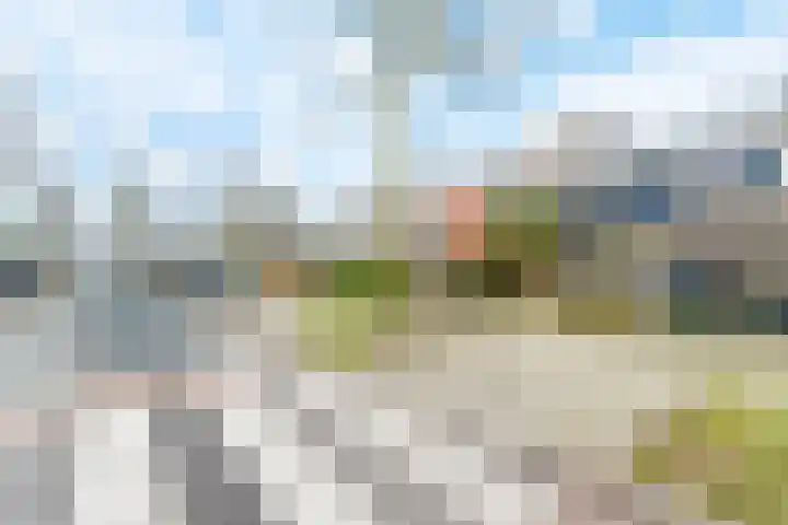 Tienhont 34 Zaltbommel thumbnail 63
