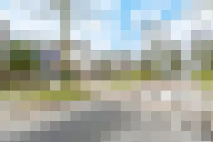 Tienhont 34 Zaltbommel thumbnail 65
