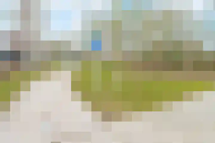 Tienhont 34 Zaltbommel thumbnail 66