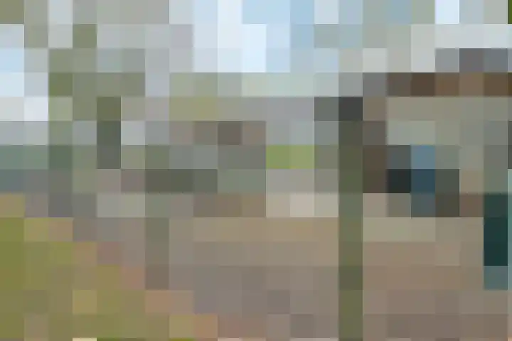 Tienhont 34 Zaltbommel thumbnail 67
