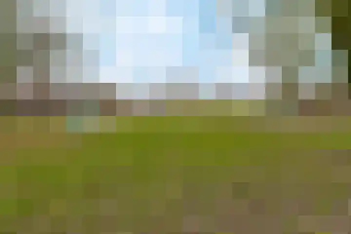 Tienhont 34 Zaltbommel thumbnail 69