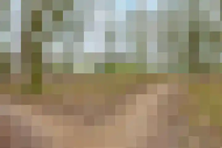 Tienhont 34 Zaltbommel thumbnail 70
