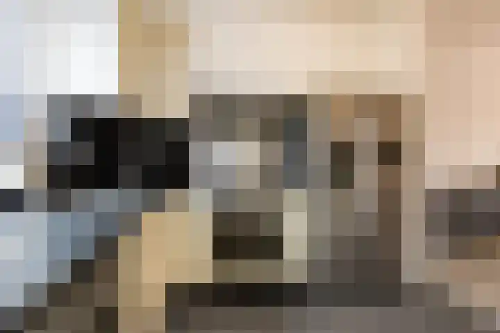 Tienhont 34 Zaltbommel thumbnail 9