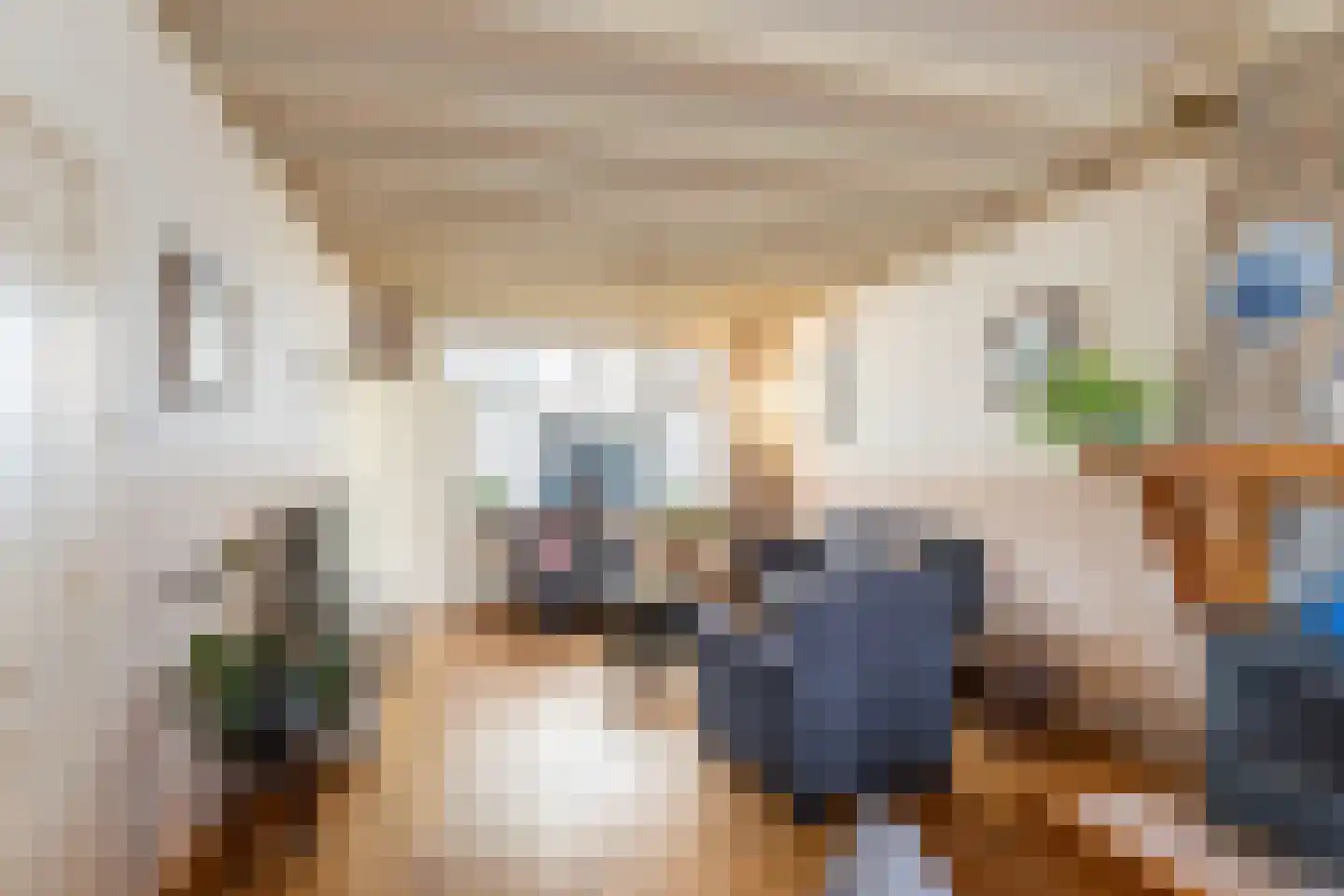 Tienhoven 10 Sint-Annaland thumbnail 13